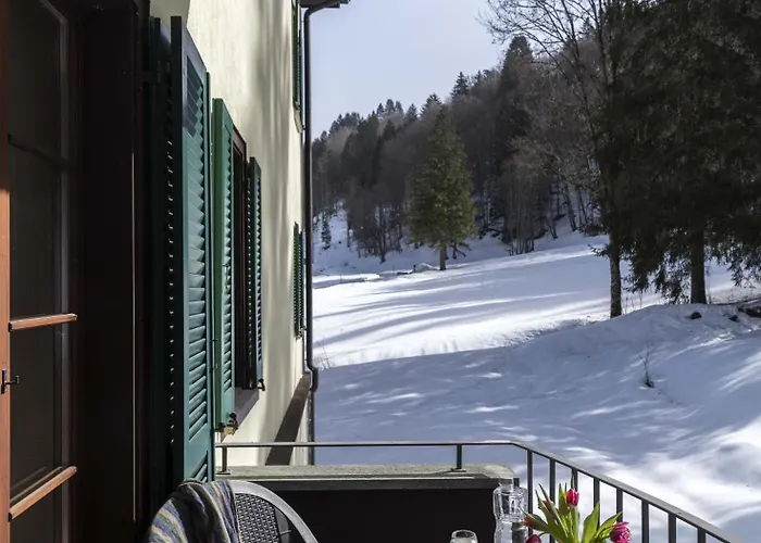 Bad Serneus Alpentherme 3*